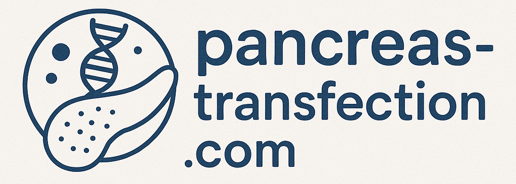 Pancreas Transfection